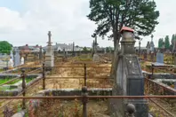 MOUNT ST LAWRENCE CEMETERY IN LIMERICK [2016 LEGACY PHOTO COLLECTION]-244498-1