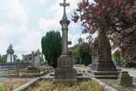 MOUNT ST LAWRENCE CEMETERY IN LIMERICK [2016 LEGACY PHOTO COLLECTION]-244510-1