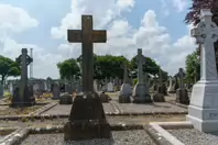 MOUNT ST LAWRENCE CEMETERY IN LIMERICK [2016 LEGACY PHOTO COLLECTION]-244526-1