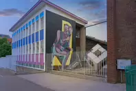 STREET ART INCLUDING THE SLEEPING PATTERNS MURALS [THE CAHILL MAY ROBERTS SITE JUNE 2016]-244469-1
