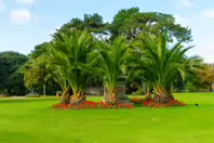 AN EMPTY PLINTH AND ITS STORY [LOCATED IN THE PEOPLE'S FLOWER GARDEN]-243507-1