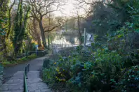 MY CHRISTMAS 2024 VISIT TO BUSHY PARK [19 DECEMBER 2024]-245575-1
