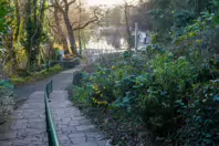 MY CHRISTMAS 2024 VISIT TO BUSHY PARK [19 DECEMBER 2024]-245576-1