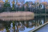 MY CHRISTMAS 2024 VISIT TO BUSHY PARK [19 DECEMBER 2024]-245581-1