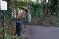 MY CHRISTMAS 2024 VISIT TO BUSHY PARK [19 DECEMBER 2024]-245585-1