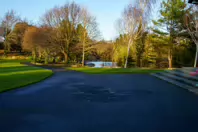 MY CHRISTMAS 2024 VISIT TO BUSHY PARK [19 DECEMBER 2024]-245586-1