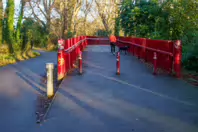 MY CHRISTMAS 2024 VISIT TO BUSHY PARK [19 DECEMBER 2024]-245591-1