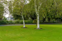 THE WELLINGTON OBELISK [PHOENIX PARK OCTOBER 2024]-243521-1
