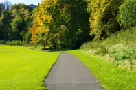 MILL LANE PARK IN PALMERSTOWN [AND PALMERSTOWN FOOTBALL CLUB]-243166-1