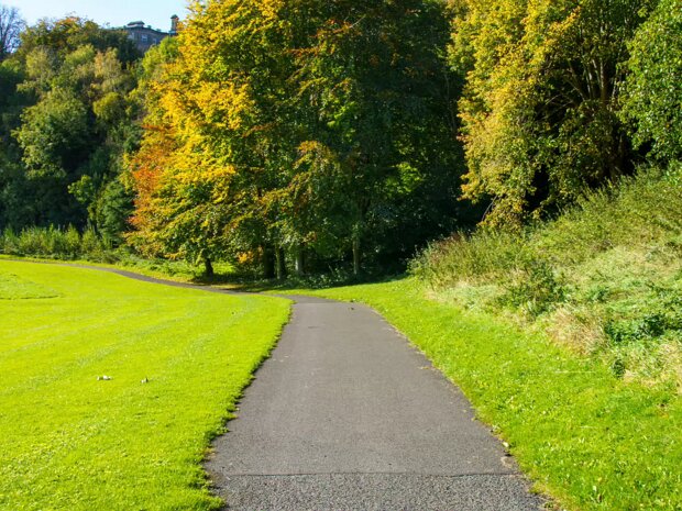 PUBLIC PARKS AND GARDENS Dublin is renowned for its abundance of well-maintained and well-managed public parks and green spaces, offering a...