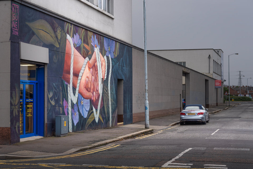 ENTWINED MURAL BY JOLIEN DE WAYLE