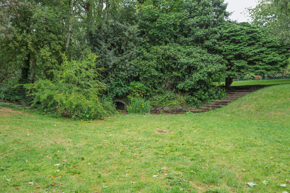 The Hefei Wild Garden