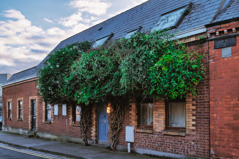 The Movember Cottage At Upper Grangegorman