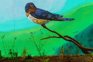 MURALS IN THE PARK BY KIRSTY MAHER [CARLOW TOWN PARK AND PLAYGROUND]-239511-1