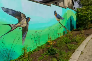 MURALS IN THE PARK BY KIRSTY MAHER [CARLOW TOWN PARK AND PLAYGROUND]-239513-1