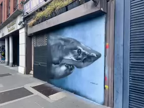 MORE INTERESTING STREET ART BY @ORIEL467 [LOCATED AT THE INN ON THE LIFFEY]-233630-1