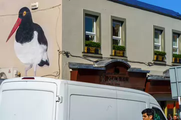 MURAL BY JULIETTE VIODE [DUN LAOGHAIRE ANSEO STREET ART PROGRAMME]-240985-1
