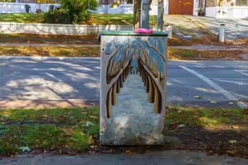 AN EXAMPLE OF PAINT-A-BOX STREET ART BY TRACEY DALTON [GRIFFITH AVENUE 14 OCTOBER 2024]-242642-1