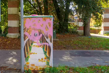 AN EXAMPLE OF PAINT-A-BOX STREET ART BY TRACEY DALTON [GRIFFITH AVENUE 14 OCTOBER 2024]-242646-1