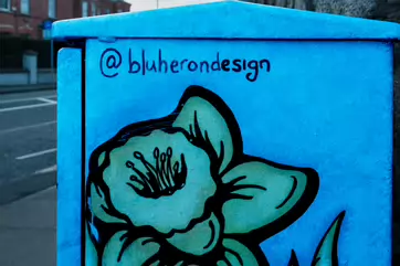 PAINT-A-BOX STREETART BY BLU HERON DESIGN [LOWER KIMMAGE ROAD D6]-245869-1