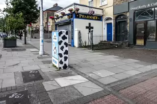 THIS IS COWTOWN [PAINT-A-BOX STREET ART ON MANOR STREET IN STONEYBATTER]-236726-1