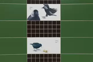 TILES BY KILLIAN MULLARNEY FEATURING BIRDS NATIVE TO IRELAND [MICRO PUBLIC SPACE ON WOLFE TONE STREET]-236748-1