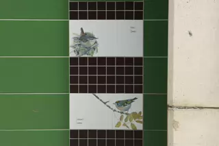 TILES BY KILLIAN MULLARNEY FEATURING BIRDS NATIVE TO IRELAND [MICRO PUBLIC SPACE ON WOLFE TONE STREET]-236751-1