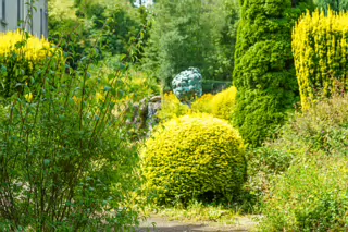 THE PATRICK CORISH MEMORIAL BY RICHIE CLARKE [THE JUNIOR GARDEN AT MAYNOOTH COLLEGE]-237726-1