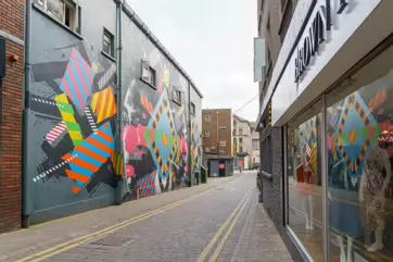 MURAL ON LITTLE WILLIAM STREET OR BROWN THOMAS LANE [BY ASKEW ONE AND MASER]-244560-1