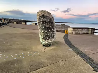 RACHEL JOYNT'S MOTHERSHIP SCULPTURE [AT NEWTOWNSMITH BETWEEN DUN LAOGHAIRE AND GLASTHULE]-246058-1