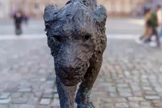 HOW DARE YOU CALL ME KITTY [BRONZE LIONESS BY DAVIDE RIVALTA IN THE UPPER COURTYARD DUBLIN CASTLE]-228101-1