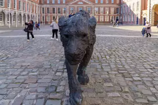 HOW DARE YOU CALL ME KITTY [BRONZE LIONESS BY DAVIDE RIVALTA IN THE UPPER COURTYARD DUBLIN CASTLE]-228102-1