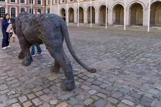 HOW DARE YOU CALL ME KITTY [BRONZE LIONESS BY DAVIDE RIVALTA IN THE UPPER COURTYARD DUBLIN CASTLE]-228105-1