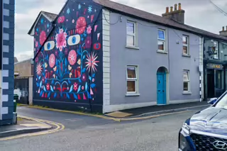 THE ONLY EXAMPLE OF STREET ART THAT I SAW [BY HOLLY PEREIRA - GEORGE'S LANE IN NEWBRIDGE]-238819-1