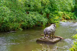 A LONELY RHINO IN THE DODDER [BEHIND THE DROPPING WELL PUB]-239111-1