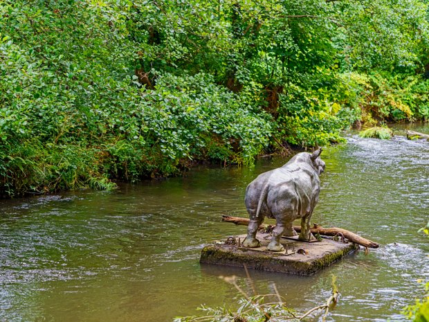 DODDER RHINO In the heart of Dublin, nestled by the River Dodder, stands an enigmatic bronze rhinoceros. Its imposing presence...