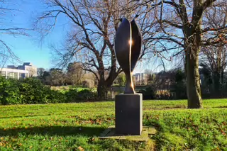 BLACK TULIP ON THE UCD CAMPUS [A SCULPTURE BY EAMONN CEANNT]-226660-1