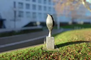 BLACK TULIP ON THE UCD CAMPUS [A SCULPTURE BY EAMONN CEANNT]-226662-1