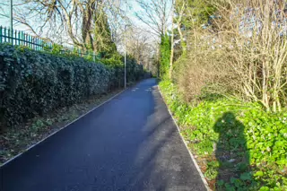 RANDOM IMAGES OF THE UNIVERSITY OF DUBLIN CAMPUS [MY MOTHER WHO IS 104 IN MAY DID NOT WANT TO COME WITH ME AS IT WAS TOO COLD]-226673-1