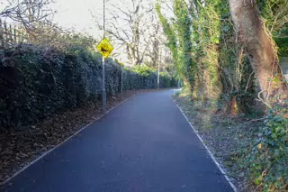 RANDOM IMAGES OF THE UNIVERSITY OF DUBLIN CAMPUS [MY MOTHER WHO IS 104 IN MAY DID NOT WANT TO COME WITH ME AS IT WAS TOO COLD]-226674-1