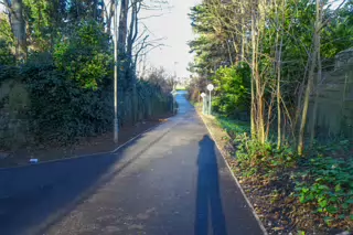 RANDOM IMAGES OF THE UNIVERSITY OF DUBLIN CAMPUS [MY MOTHER WHO IS 104 IN MAY DID NOT WANT TO COME WITH ME AS IT WAS TOO COLD]-226675-1