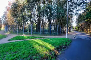 RANDOM IMAGES OF THE UNIVERSITY OF DUBLIN CAMPUS [MY MOTHER WHO IS 104 IN MAY DID NOT WANT TO COME WITH ME AS IT WAS TOO COLD]-226679-1