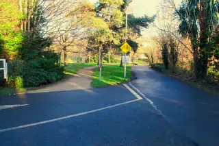 RANDOM IMAGES OF THE UNIVERSITY OF DUBLIN CAMPUS [MY MOTHER WHO IS 104 IN MAY DID NOT WANT TO COME WITH ME AS IT WAS TOO COLD]-226684-1