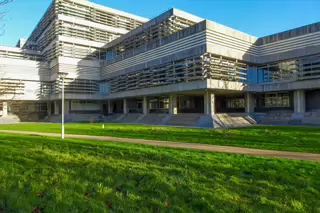 RANDOM IMAGES OF THE UNIVERSITY OF DUBLIN CAMPUS [MY MOTHER WHO IS 104 IN MAY DID NOT WANT TO COME WITH ME AS IT WAS TOO COLD]-226689-1