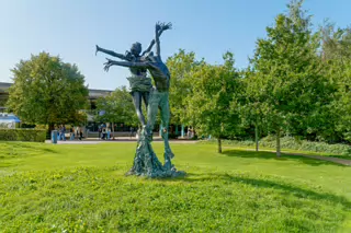 WIND AND WATER BY PADDY CAMPBELL [UCD UNIVERSITY CAMPUS]-222838-1