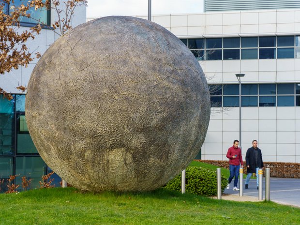 NOAH'S EGG BY RACHEL JOYNT