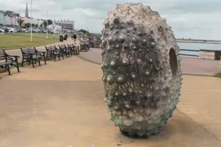 RACHEL JOYNT'S MOTHERSHIP SCULPTURE [AT NEWTOWNSMITH BETWEEN DUN LAOGHAIRE TOWN AND GLASTHULE]-236989-1