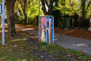 AN EXAMPLE OF PAINT-A-BOX STREET ART BY TRACEY DALTON [GRIFFITH AVENUE 14 OCTOBER 2024]-242645-1