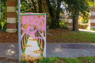 AN EXAMPLE OF PAINT-A-BOX STREET ART BY TRACEY DALTON [GRIFFITH AVENUE 14 OCTOBER 2024]-242646-1