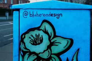 PAINT-A-BOX STREETART BY BLU HERON DESIGN [LOWER KIMMAGE ROAD D6]-245869-1